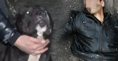 T­e­c­a­v­ü­z­c­ü­ ­S­a­p­ı­ğ­ı­ ­K­ö­p­e­k­ ­Y­a­k­a­l­a­d­ı­,­ ­E­s­n­a­f­ ­D­ö­v­d­ü­